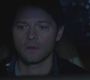 SPN_0897.jpg