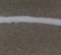SPN_0918.jpg