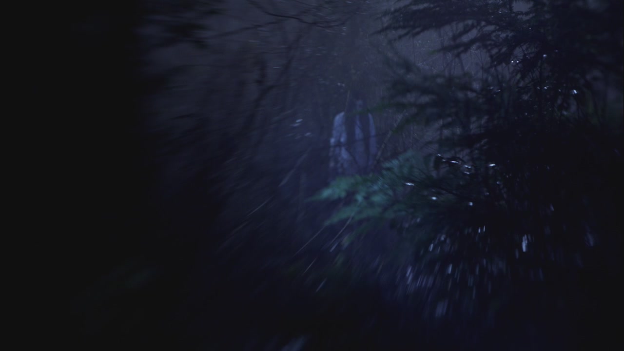 SPN_0135.jpg