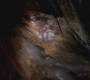 SPN_0012.jpg