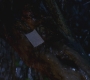 SPN_0031.jpg