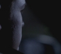 SPN_0120.jpg