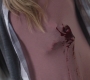 SPN_0421.jpg