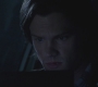 SPN_0984.jpg