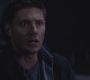 SPN_1011.jpg