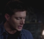 SPN_0104.jpg