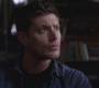 SPN_0113.jpg