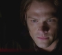 SPN_0801.jpg