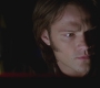 SPN_0823.jpg