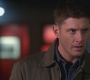 SPN_1129.jpg