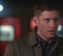 SPN_1130.jpg
