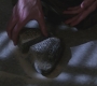 SPN_0486.jpg