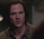 SPN_0501.jpg