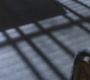 SPN_0511.jpg