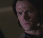 SPN_0602.jpg