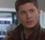SPN_0443.jpg