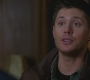 SPN_1102.jpg