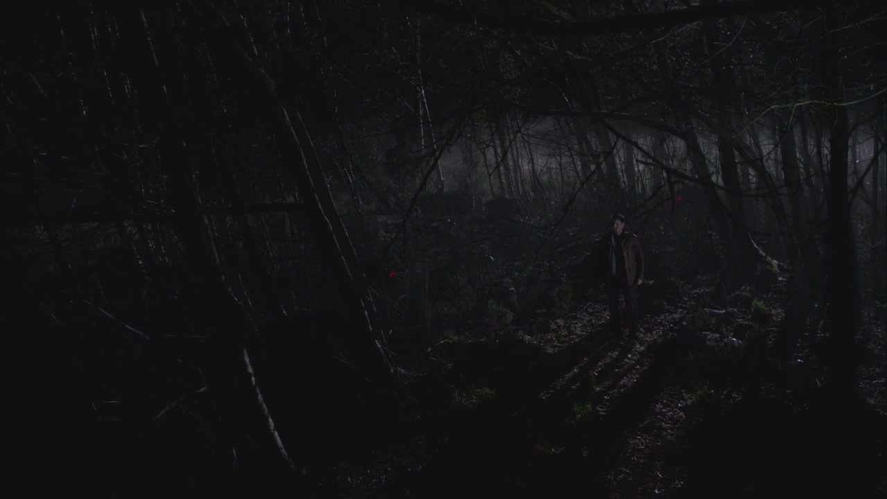 SPN_1455.jpg