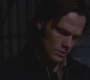 SPN_0138.jpg