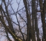 SPN_0229.jpg