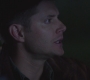 SPN_0774.jpg