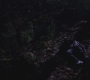 SPN_1414.jpg