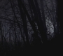 SPN_1450.jpg