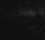 SPN_1452.jpg