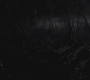 SPN_1454.jpg