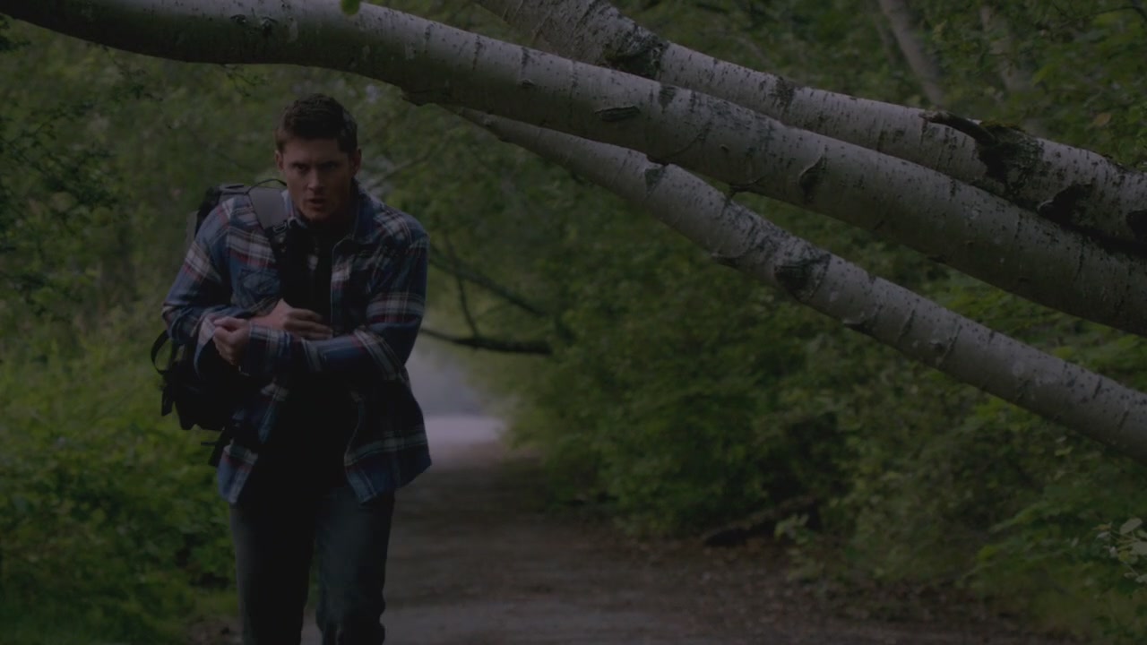 SPN_0093.jpg