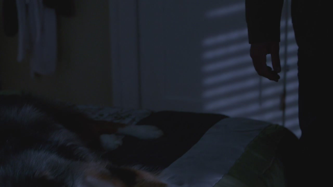 SPN_0199.jpg