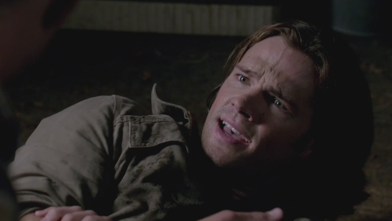 SPN_0238.jpg