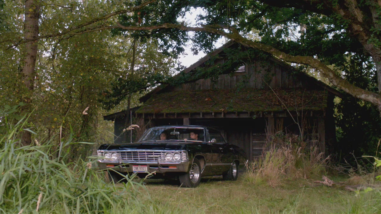 SPN_0501.jpg