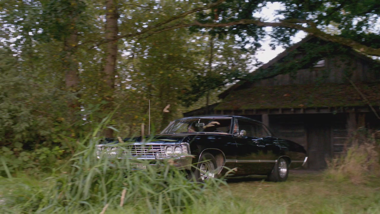 SPN_0502.jpg