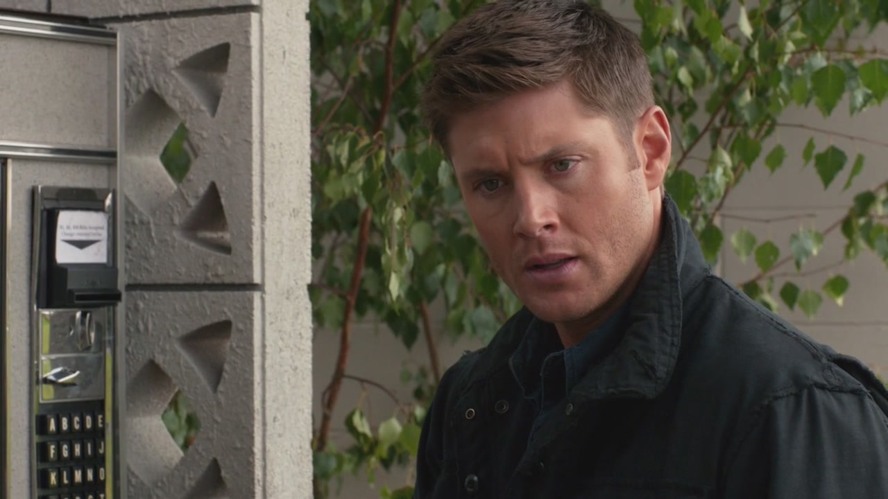 SPN_0515.jpg