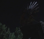 SPN_0101.jpg