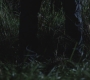 SPN_0103.jpg