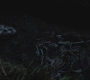SPN_0116.jpg