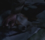 SPN_0200.jpg