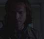 SPN_0205.jpg