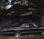 SPN_0218.jpg