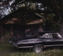 SPN_0219.jpg