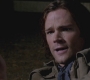 SPN_0246.jpg