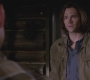 SPN_0292.jpg