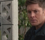 SPN_0517.jpg