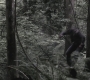 SPN_0520.jpg