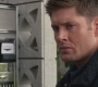 SPN_0574.jpg