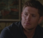 SPN_0593.jpg