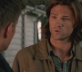 SPN_1069.jpg