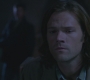 SPN_1113.jpg